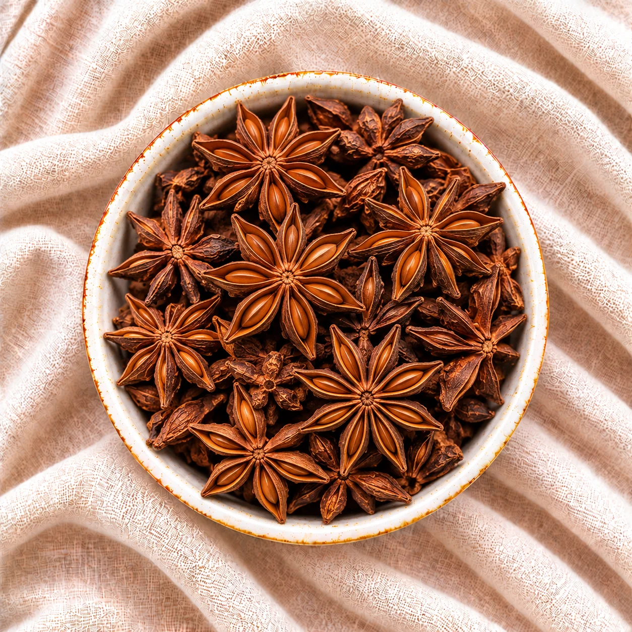 Dried Egyptian star anise for export